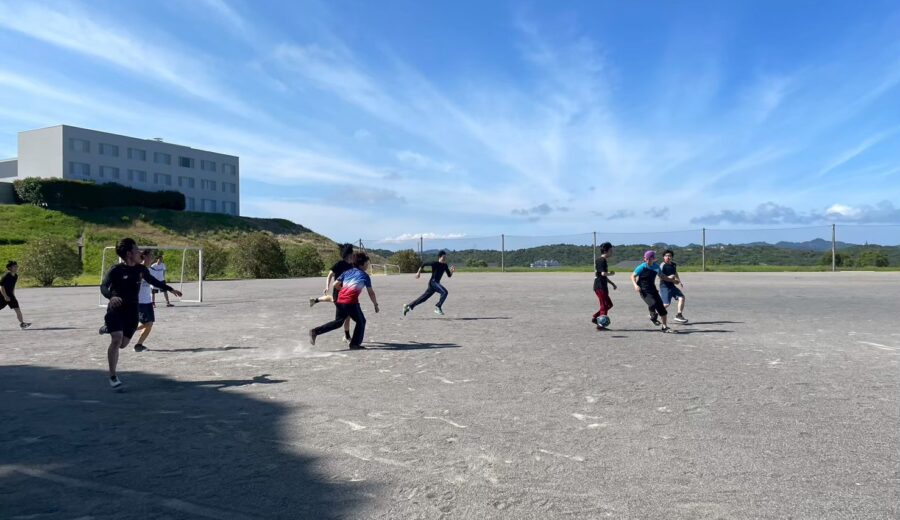 夏合宿で屋外スポーツを楽しむ研究室メンバー